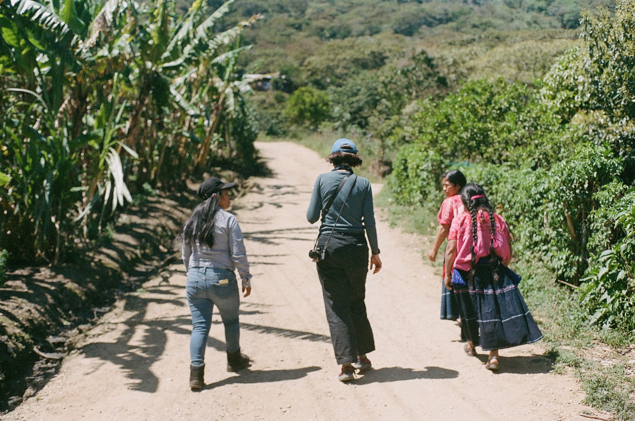 Coffee origin visit in Chiapas