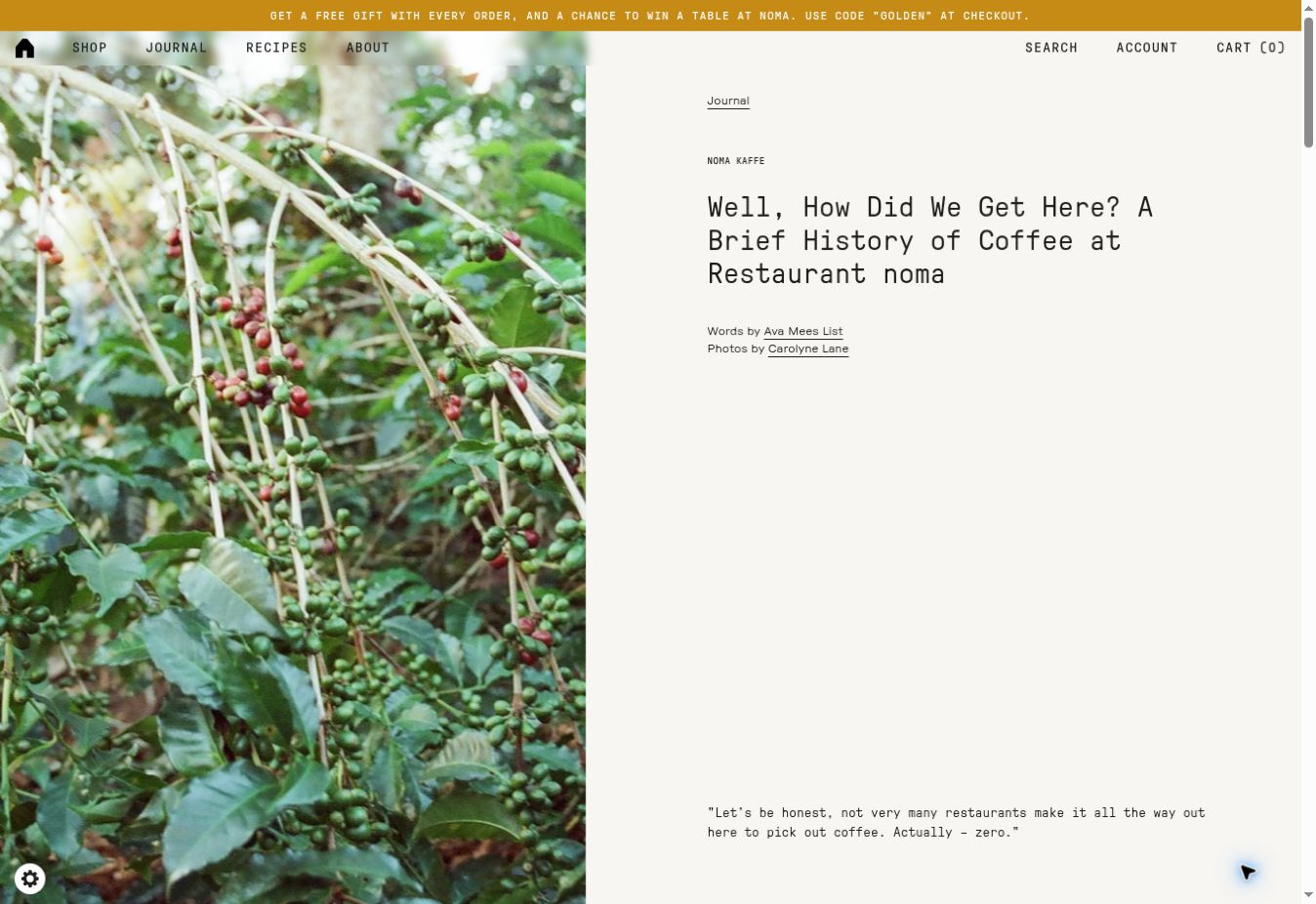 Opening page of Well, How Did We Get Here? on Noma Projects